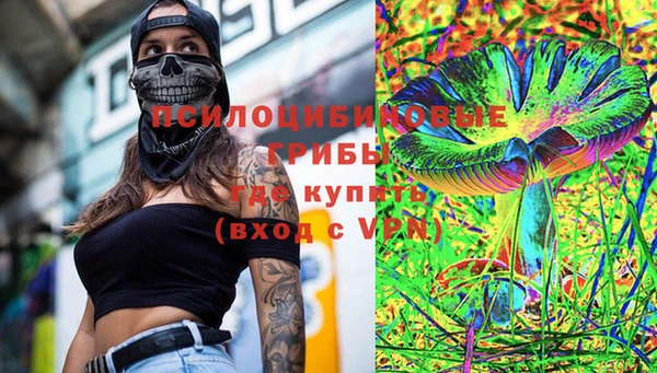 СК Аркадак