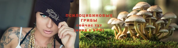кокс Арсеньев