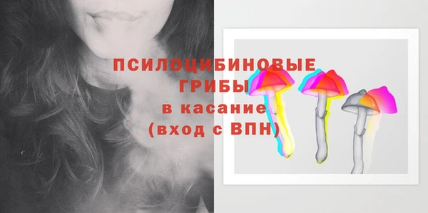 сатива Краснотурьинск