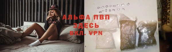СК Аркадак