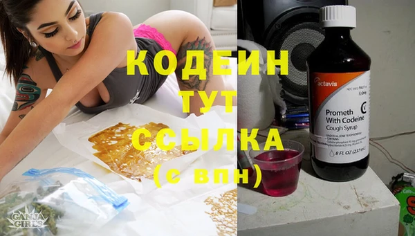 СК Аркадак