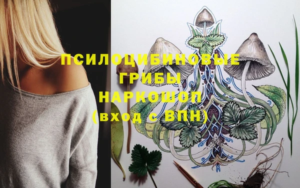СК Аркадак