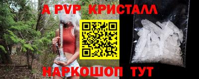 спиды Шебекино