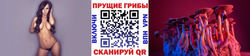 darknet наркотические препараты  Асбест  Псилоцибиновые грибы ЛСД 