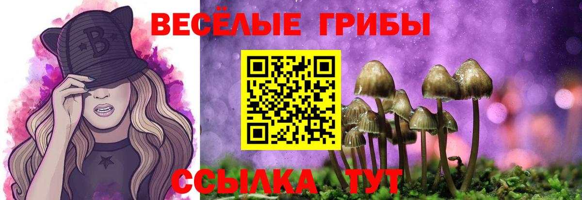 Галлюциногенные грибы MAGIC MUSHROOMS Асбест